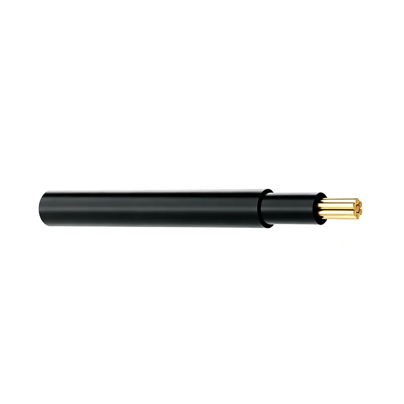 Kabel Non-Sheathed Standar EU Single Core